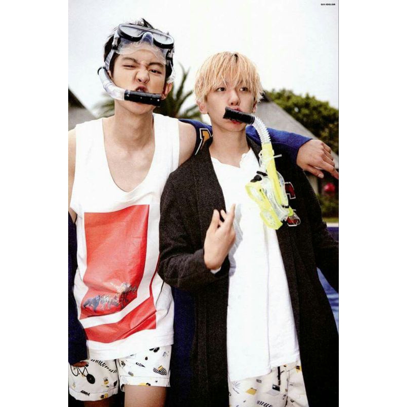 

[BACA DESK!] PHOTOCARD BOOKED!