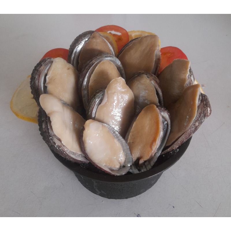 

abalone frozen