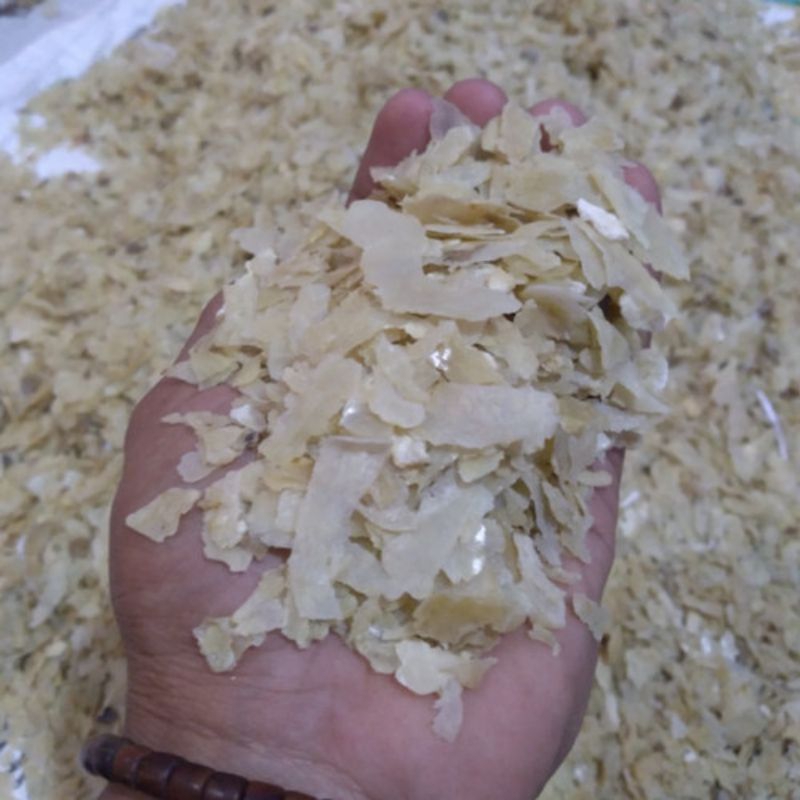 

emping melinjo / belinjo sortir