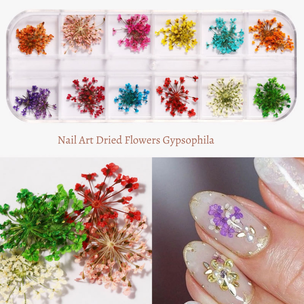 Nail art dried flower 12 warna / Aksesoris Nail Art Bunga Kering