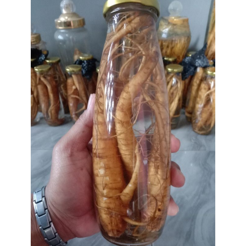 Gingseng Asli Korea