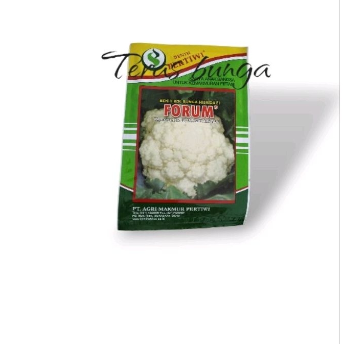 benih bunga kol forum