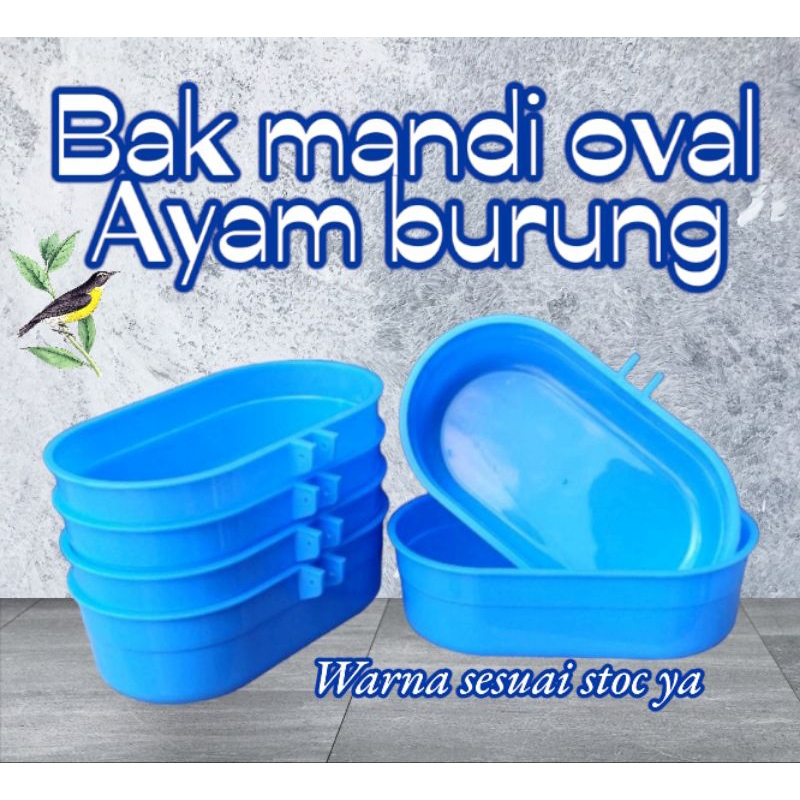 cepuk oval tempat wadah MAKAN / MANDI BURUNG