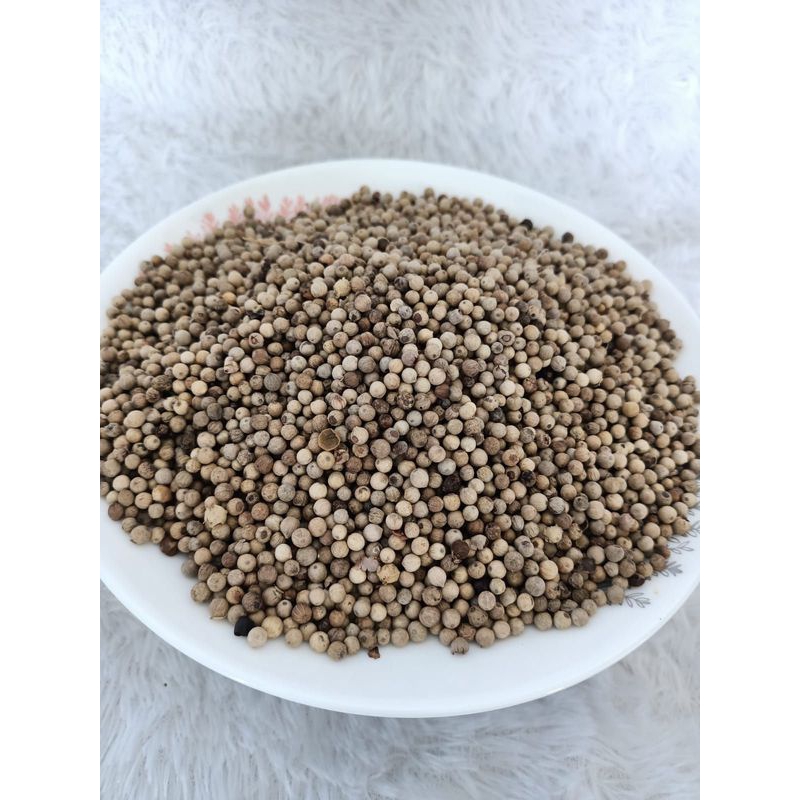 

LADA BAHAN/MERICA BAHAN ORIGINAL/LADA BANGKA