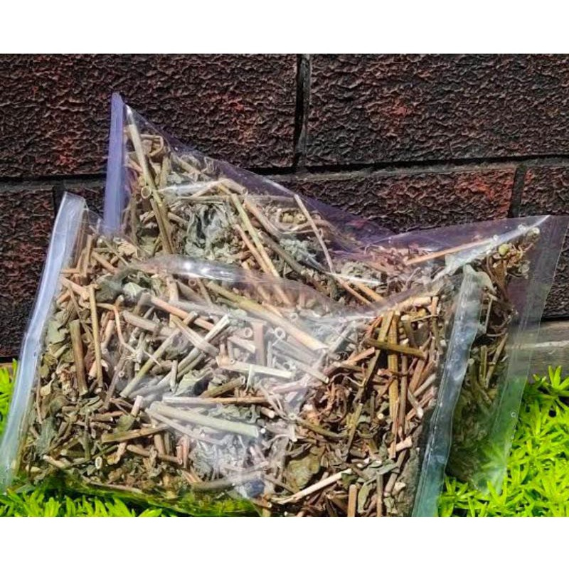 

HERBAL TERBAIK DAUN KATE MAS KERING -250 GRAM