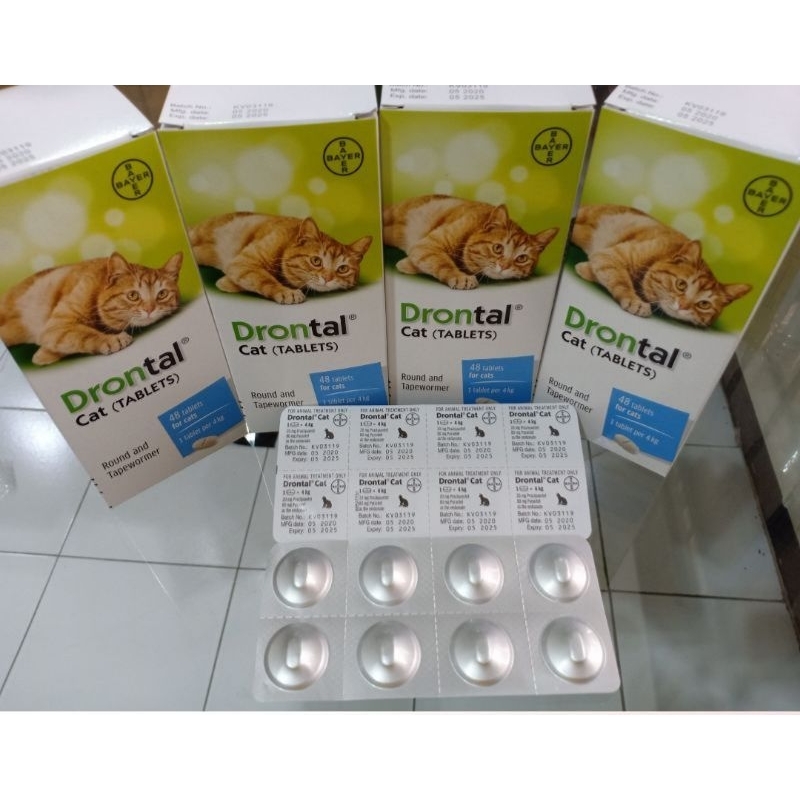 Drontal cat original 1pcs
