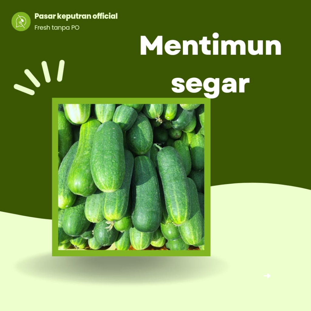 

Timun 500gr, sayur timun segar, timun