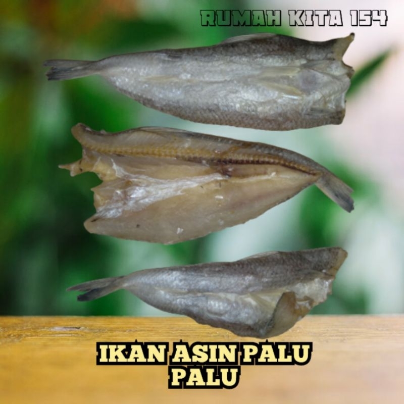

Ikan Asin Palu Palu 100gram Oleh Oleh Khas Kota Sibolga Termurah Berualitas