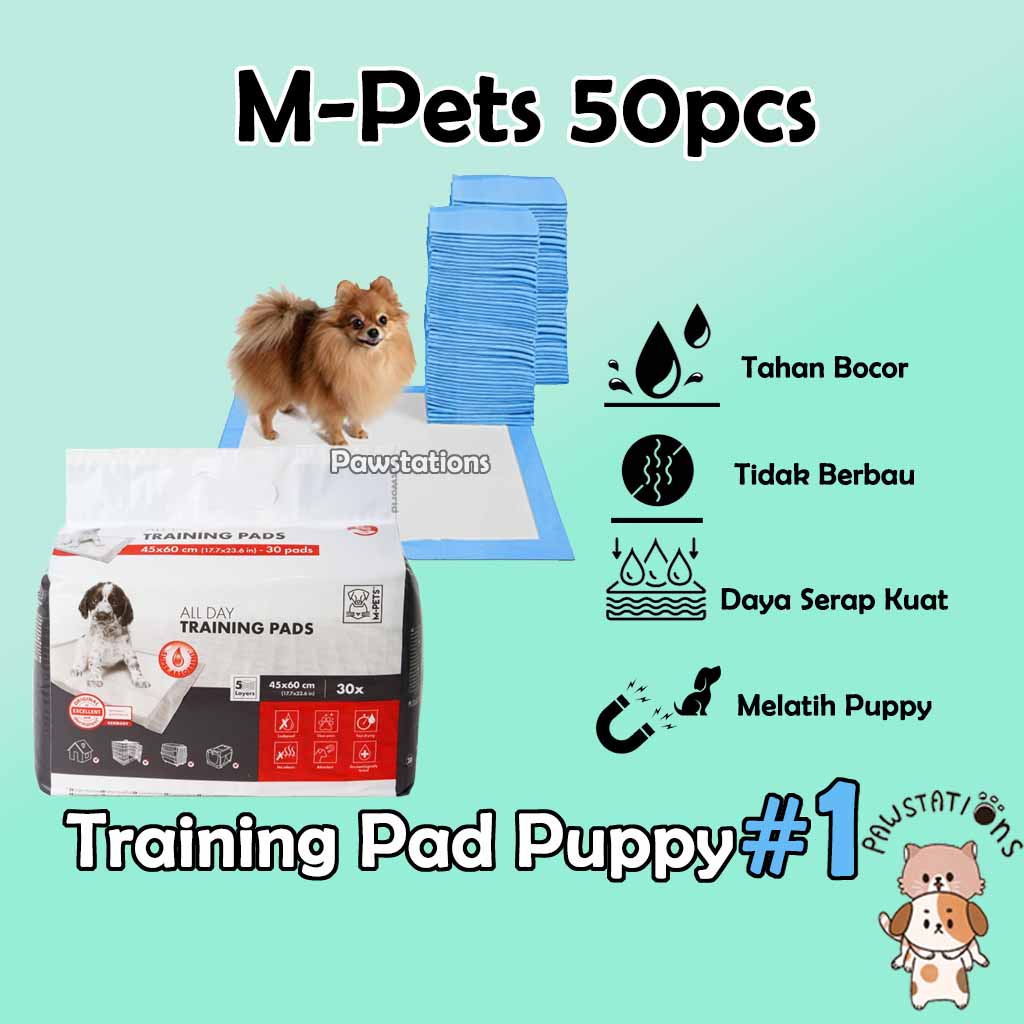 Perlak / Alas Pipis Pee Pad Alas Kencing Anjing Alas Pipis Anjing Size Small Perlak Kecil 50pcs