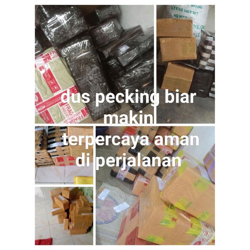 dus pecking kecil + sedang kuat kokoh