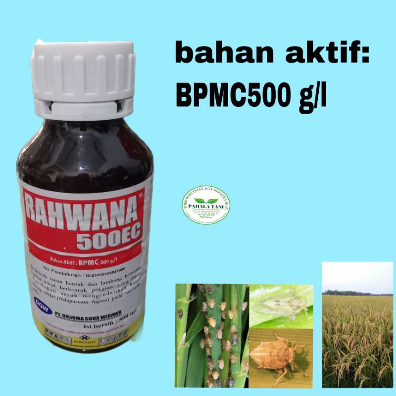 RAHWANA 500EC/BPMC/hama wereng/wereng coklat/wereng hijau/kutu daun/penggerek batang/potong leher