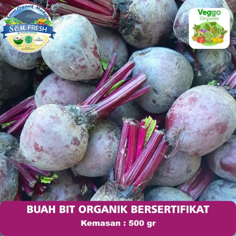 

Buah Bit Organik