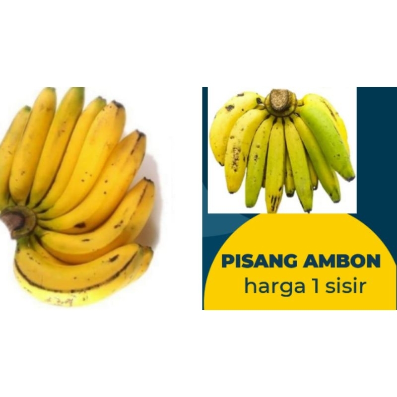 

PISANG AMBON