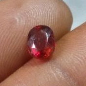 Natural Pyrope Garnet Original Asli Alam Mirah Cempaka Original Garnet ORI Koleksi Batu Mulia Permat