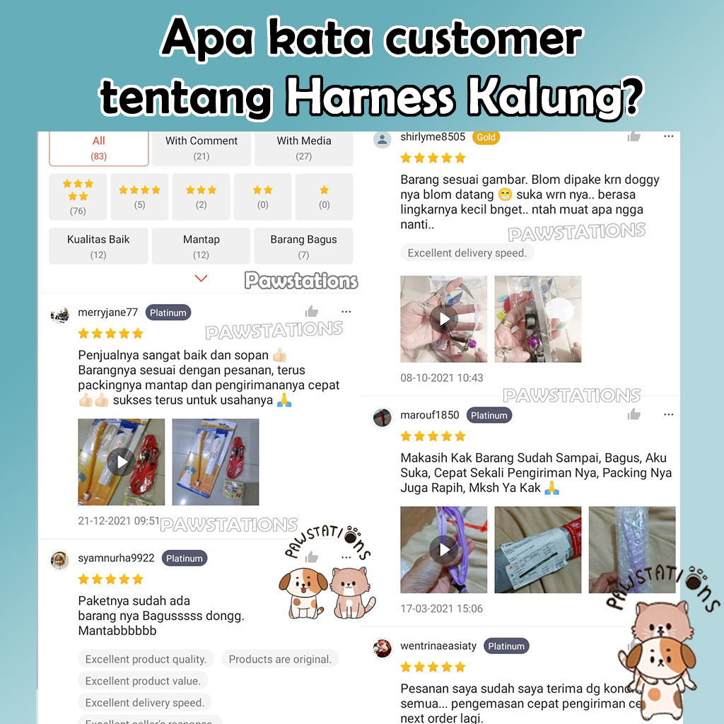 Tali Tuntun + Kalung Kucing dan Anjing Cat Leash Dog Leash