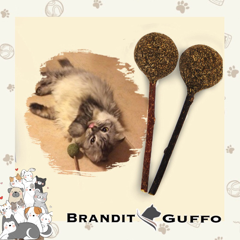 Catnip stick lollipop snack kucing catnip bahan alami mainan cat toys