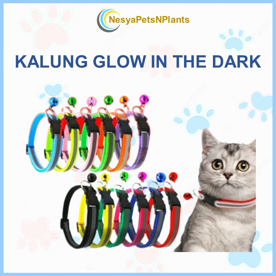 Kalung Kucing Kalung Anjing Glow In The Dark Kalung Hewan Menyala