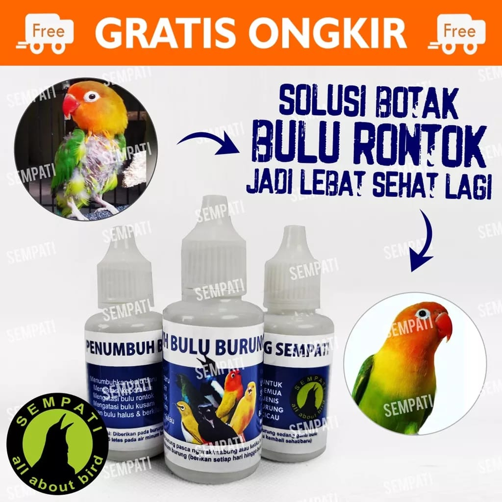 Obat Penumbuh Bulu Burung Sempati Obat Burung Bulu Rontok Patah Mabung Ngurak Moulting Lama Bermasalah Lovebird Kenari Murai Kacer