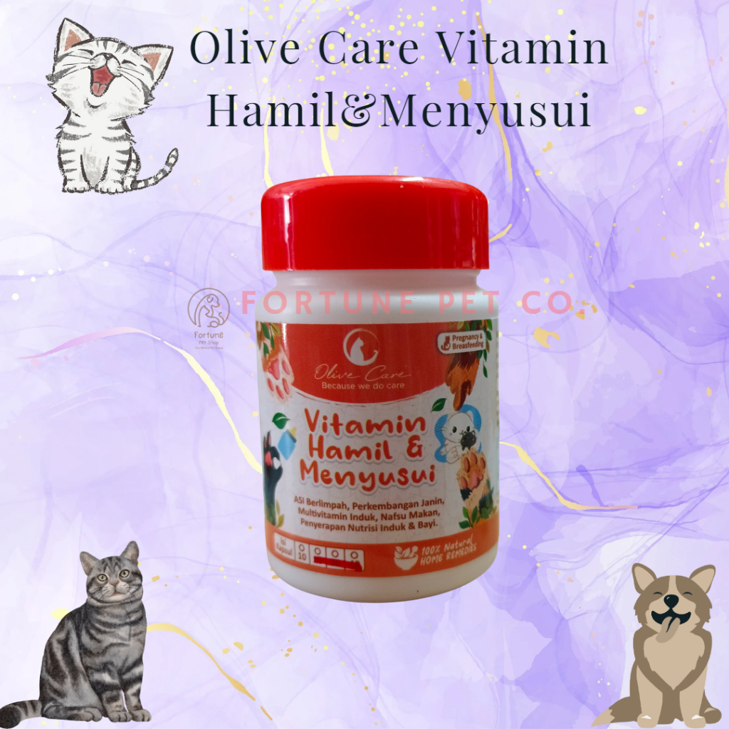 Vitamin Kucing HAMIL & MENYUSUI untuk Induk Kucing - Vitamin Olive Care