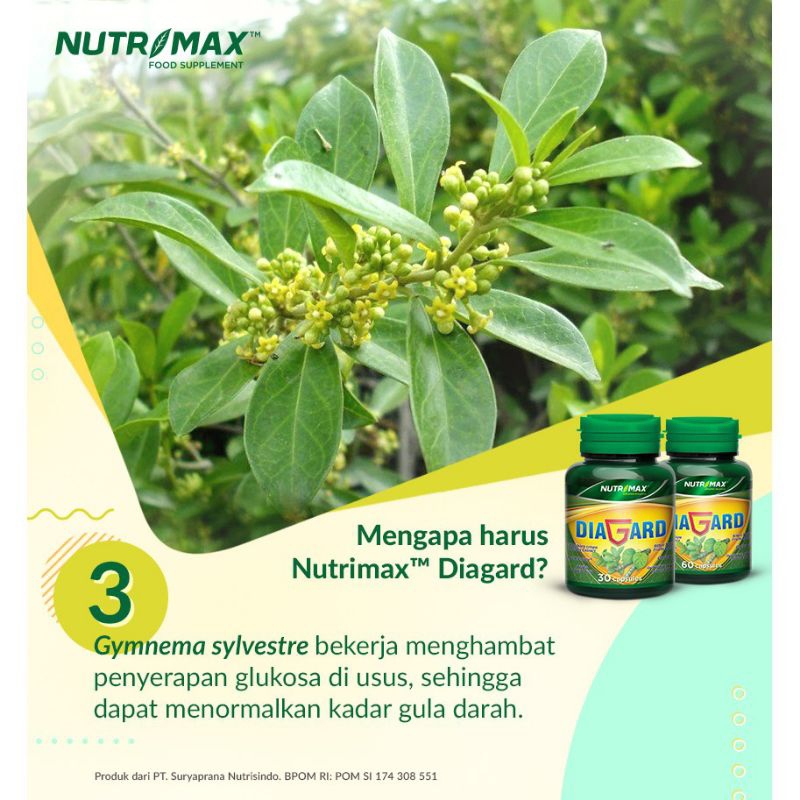 NUTRIMAX FOOD SUPPLEMENT DIAGARD ISI 30 KAPLET