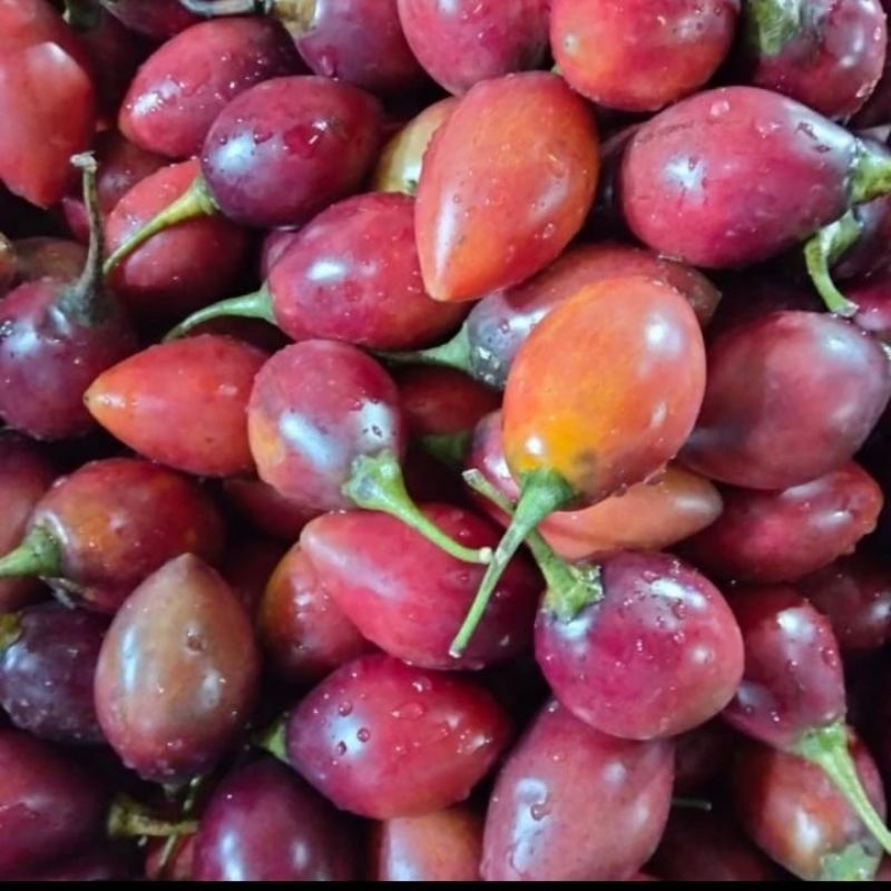 

Terong Belanda Fresh 500 gram