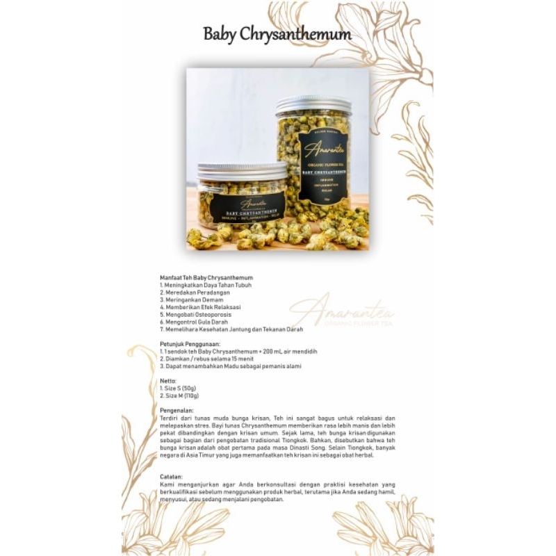 

AMARANTEA BABY CHRYSANTHEMUM 165g & 80g
