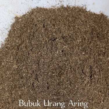 

HERBAL BUBUK TERBAIK DAUN URANG ARING / ORANG ARING 250 GRAM