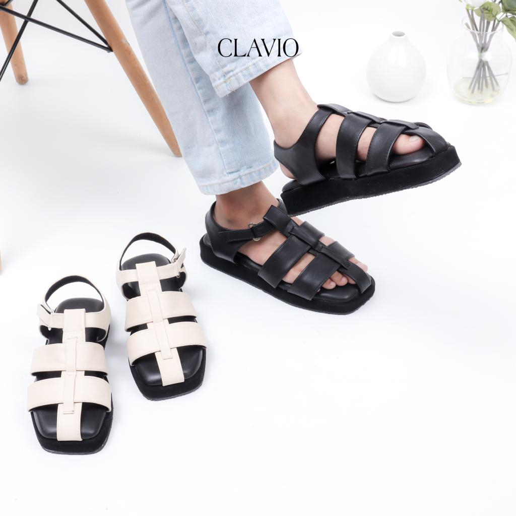 CLAVIO Erica Platform