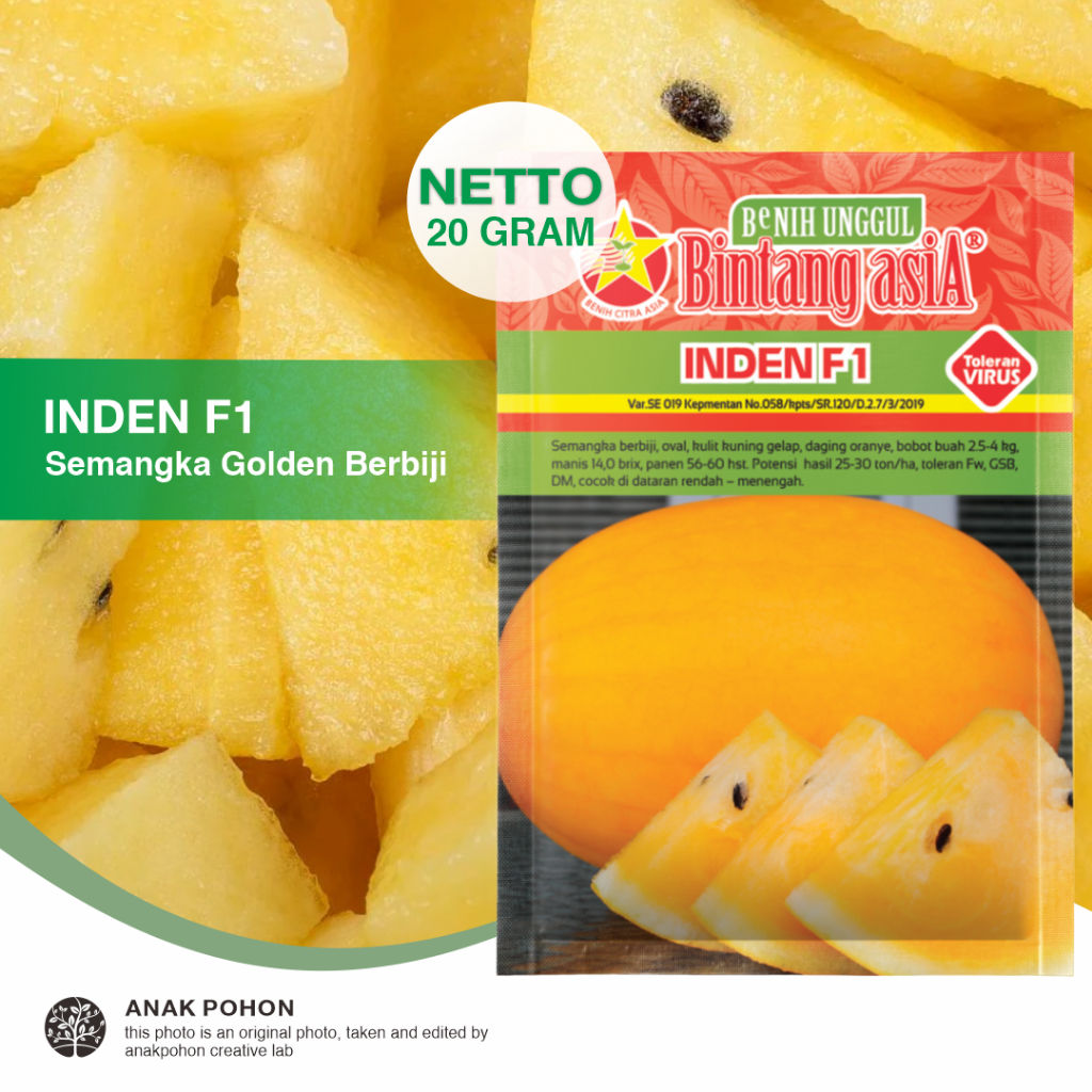 (1 PACK) Benih Semangka Kuning INDEN F1 Golden Watermelon Seeds - Bintang Asia - 20 GRAM