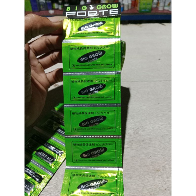 Zpt Big GROW forte 20% 5gr