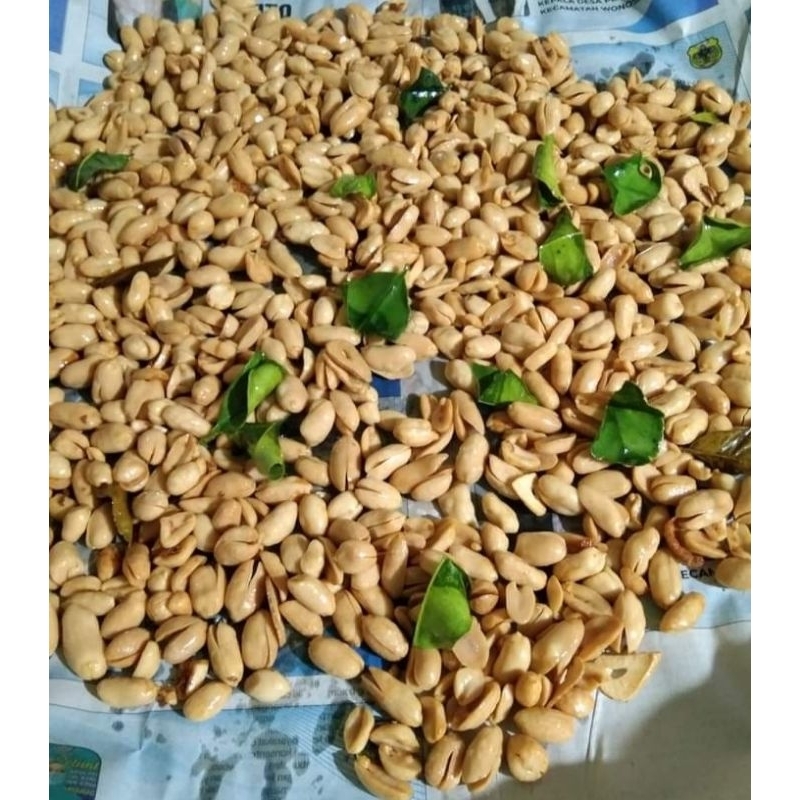 

KACANG BAWANG KEMASAN 500g