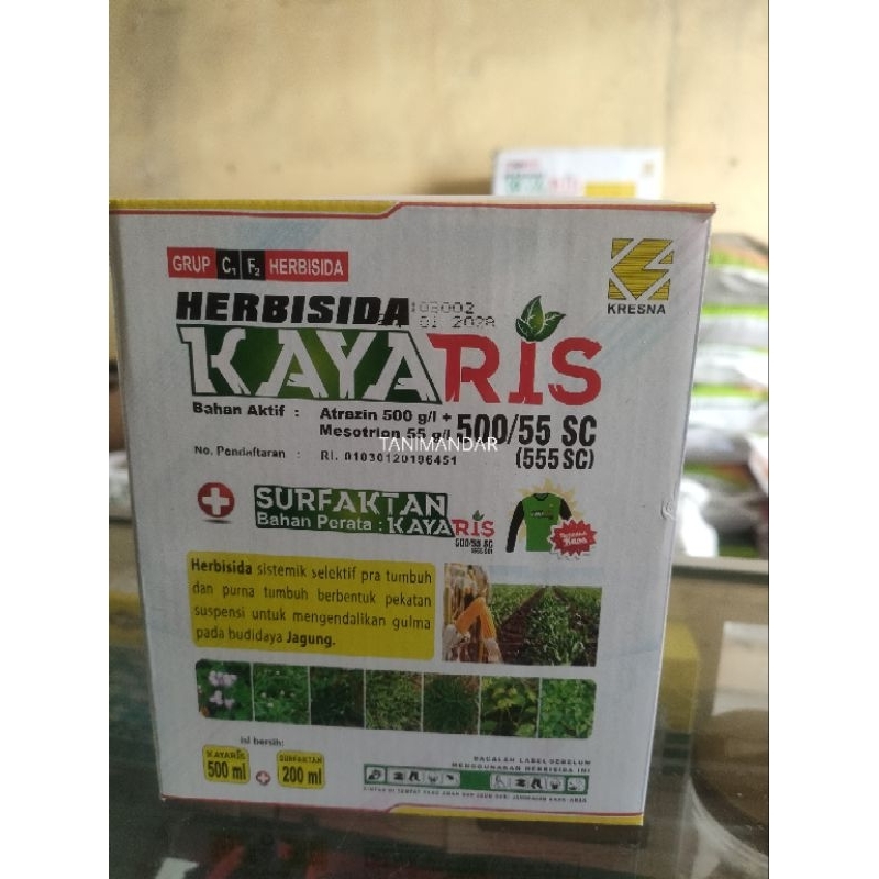 KAYARIS 500/55SC HERBISIDA PEMBASMI RUMPUT TANAMAN JAGUNG