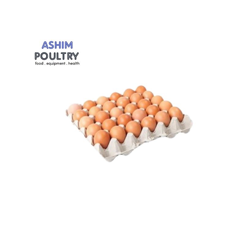 Egg tray kertas ayam/ tempat telur ayam 1 pcs