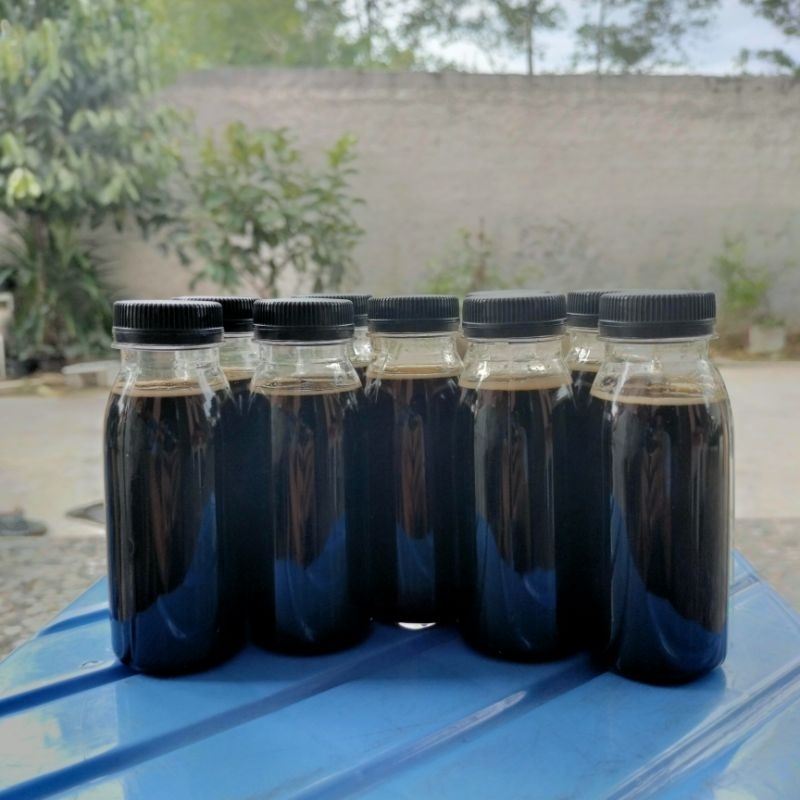 

Madu Asli/Original