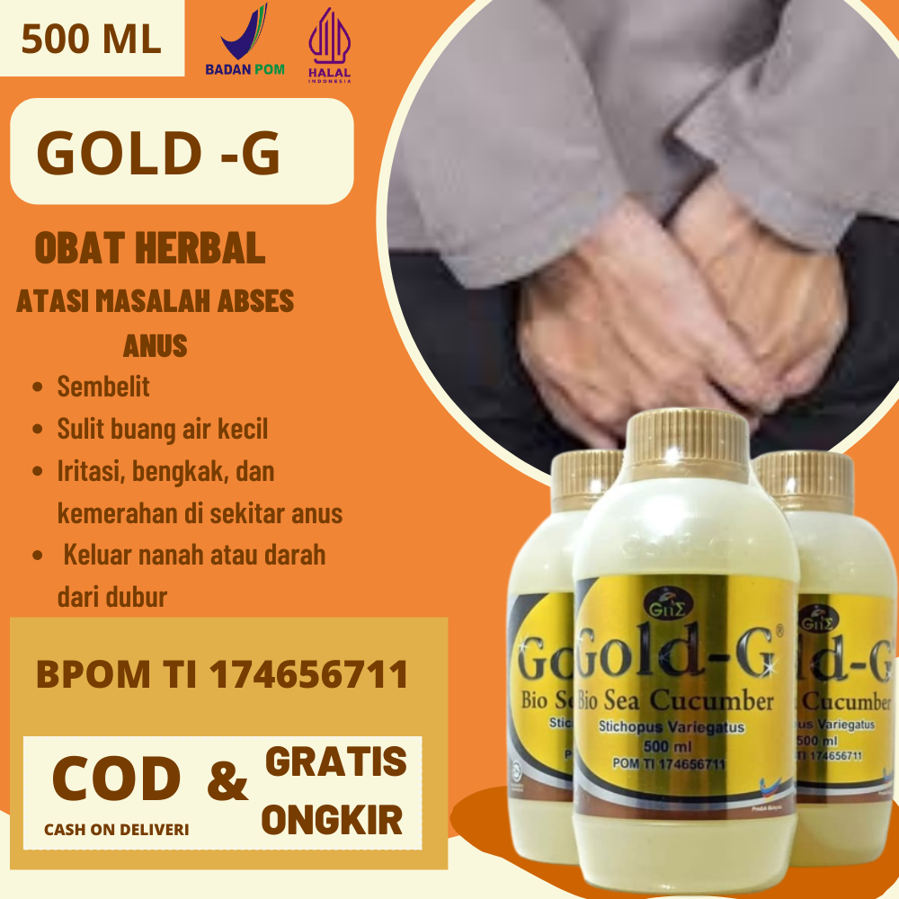 Obat Abses Perianal Abses Anus Benjolan Di Anus Susah Buang Air Anus Bernanah Wasir Amebeien Infeksi