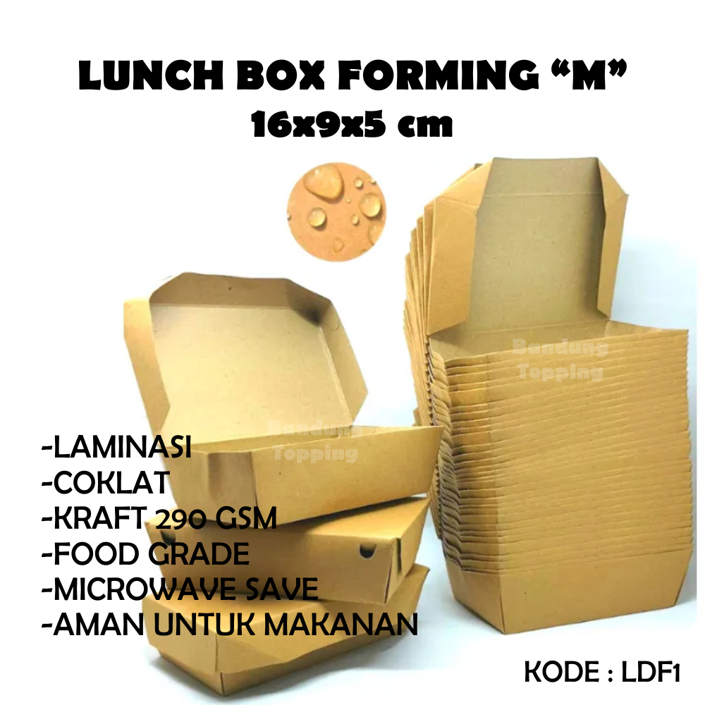 Lunch Box Forming Coklat Size M LDF1 / PCS