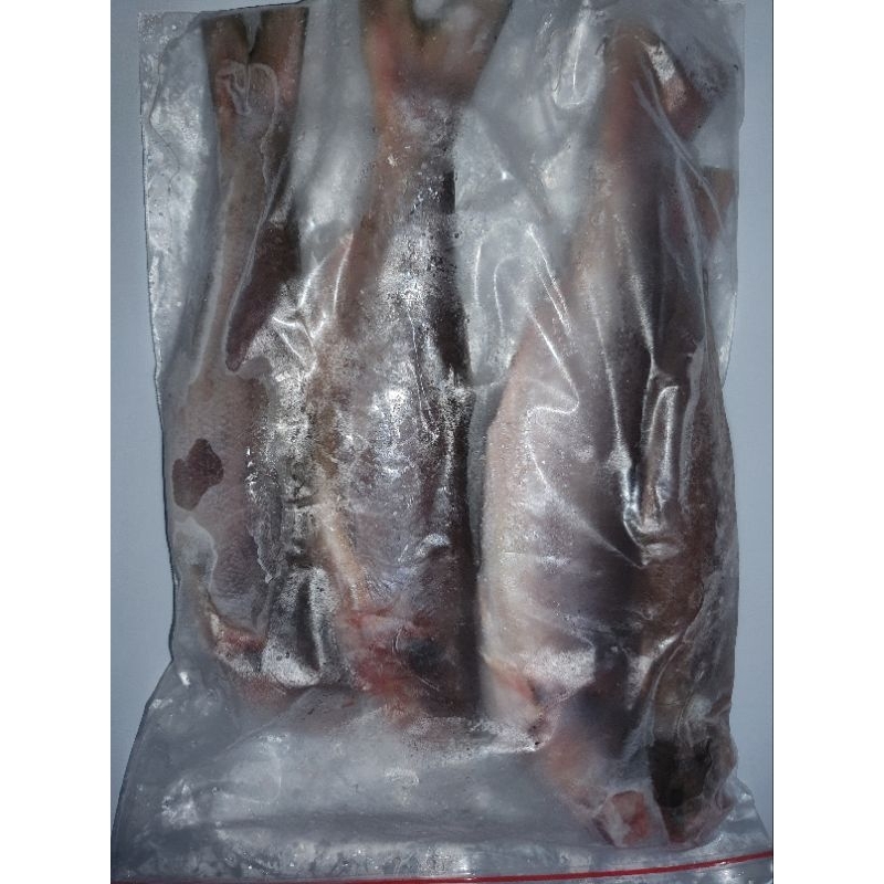 

Ready Ikan Senangin1kg @4 ekor Ready to cook Sudah dibersihkan
