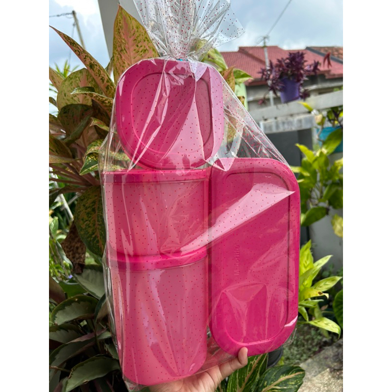 MOORLIFE || PARCELL Moorlife