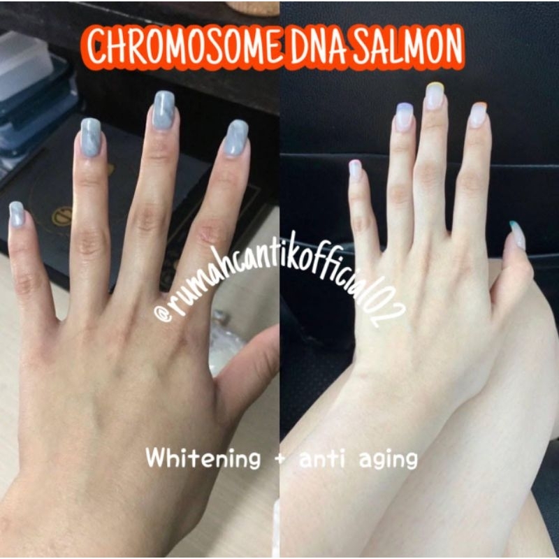chromosome dna salmon