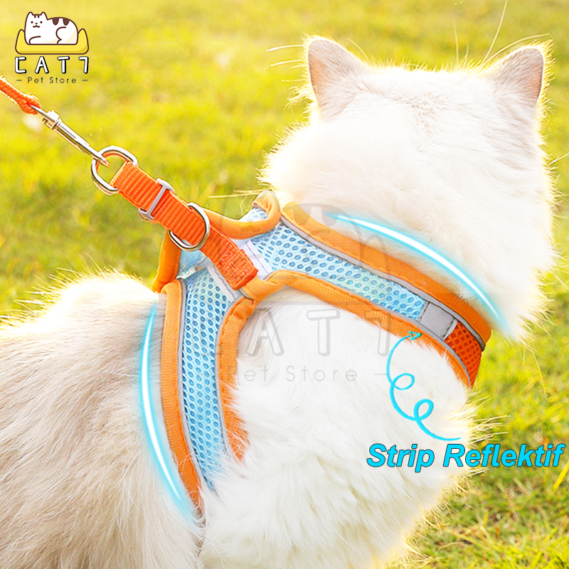 Rompi Kucing Harness Tali Rompi Bernapas Hewan Harness Kucing Tali Tuntun Traksi Reflektif Tali Dengan Harness Rompi Hewan Peliharaan