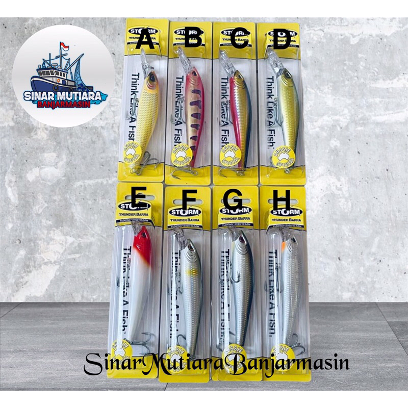 Umpan palsu lure storm thunder barra Deep TBM11