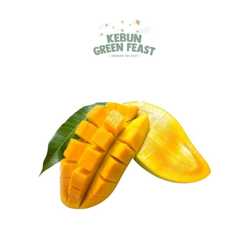 

Mangga Kimleng Green - Buah Segar Import