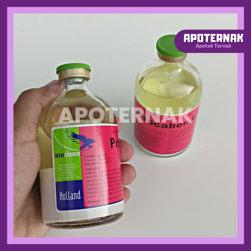 PROCABEN LA 100 ml | Obat Infeksi Saluran Pernafasan Pencernaan Perkencingan | Seperti PENSTREP 400 Original