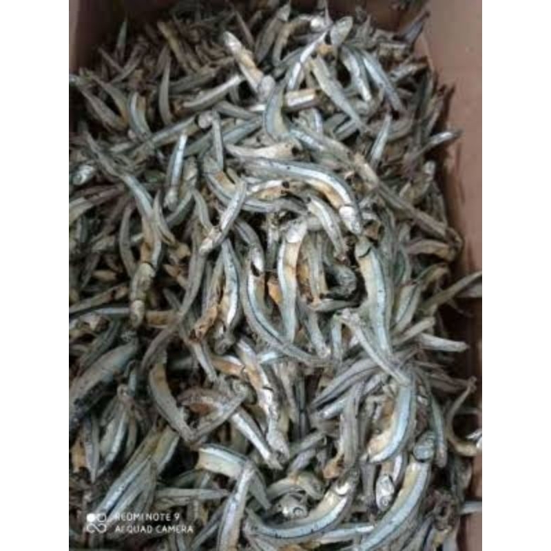

IKAN TERI REBUS ASLI LAMPUNG 500 GRAM