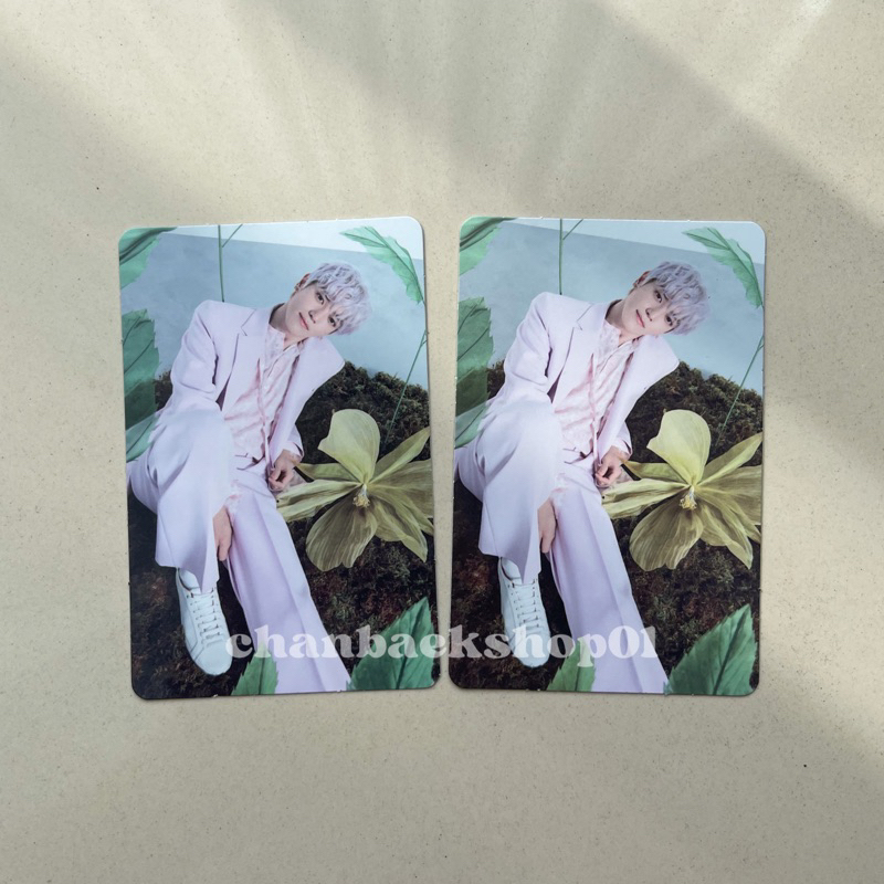 TAEYONG NCT PHOTOCARD NATURE REPUBLIC