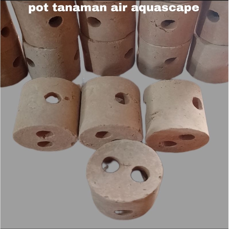 pot tanaman air aquascape -akuarium
