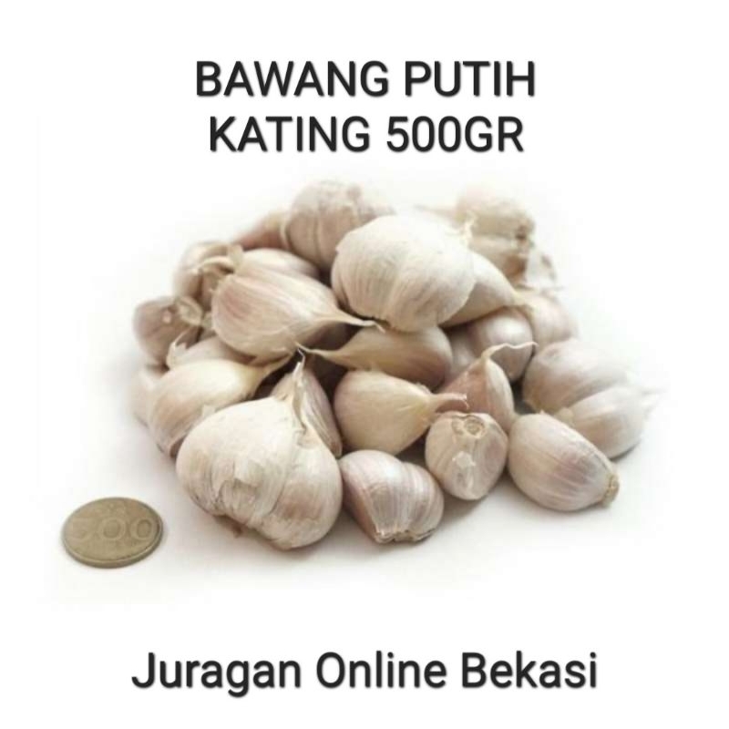 

BAWANG PUTIH KATING FRESH [500gr]