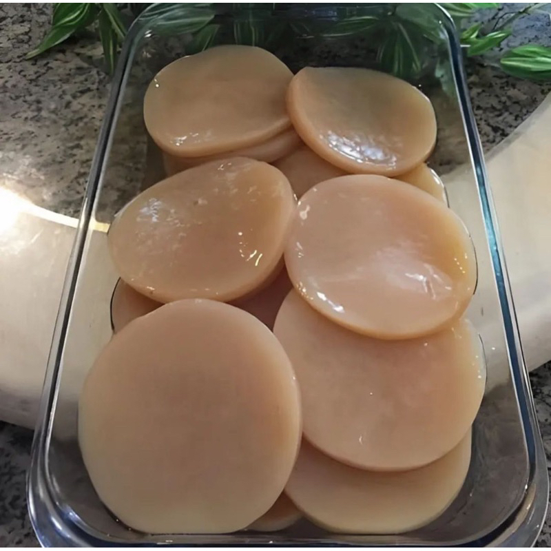 

Bibit Scoby Jamur Kombucha / Dipo Diameter 15cm