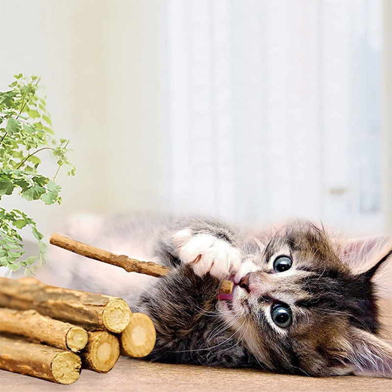 Catnip Stick Kucing Cemilan Kucing Matabi Snack Natural Matabi  Mainan Kucing