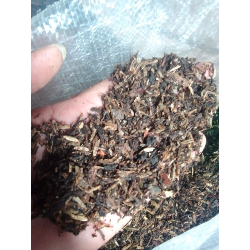 Media tanam aglonema siap pakai/Media tanam aglonema 500 gram